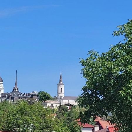 Central Palace Iasi Apart 2 ภายนอก รูปภาพ