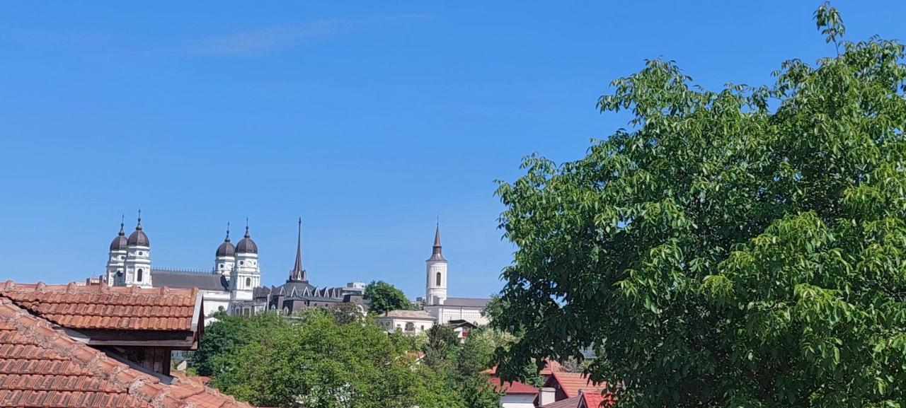 Central Palace Iasi Apart 2 ภายนอก รูปภาพ